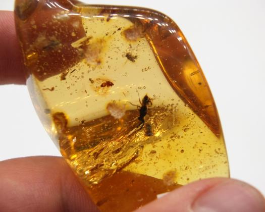 Natural Gold Nuggets gold jewellery amber fossil
