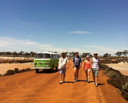 Exploring the  Pathways to Wave Rock