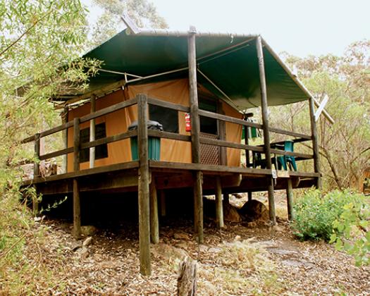Woody Island Ecotours Accommodation safari tent