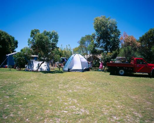 Acclaim Pine Grove Caravan Park Esperance-tent site