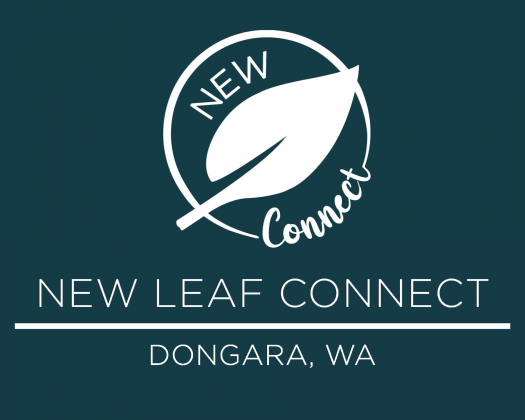 New Leaf Connect Business logo