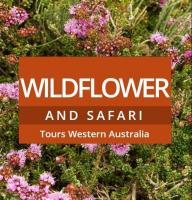 Wildflower and Safari Tours Western Australia logo